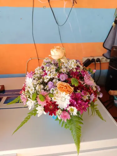 Bunga Meja Palangkaraya di Palangka Raya